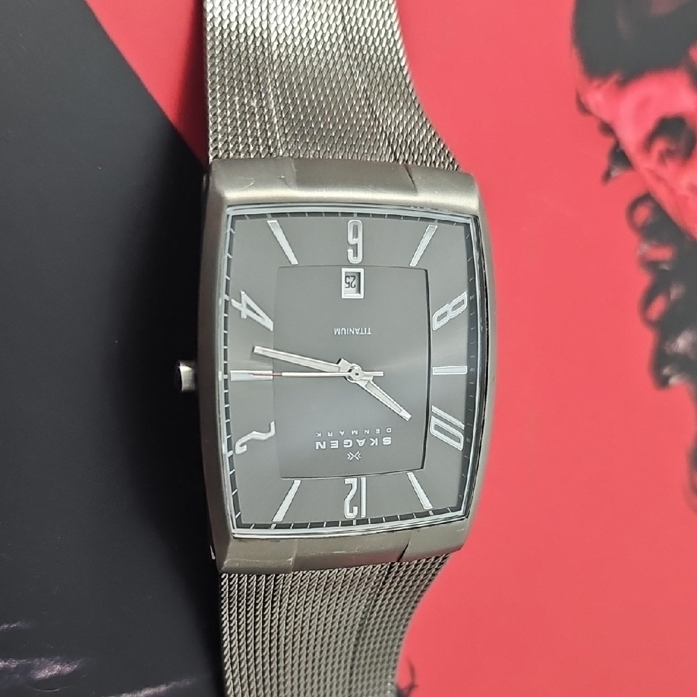 Skagen Silver Mesh Watch with Gray Dial